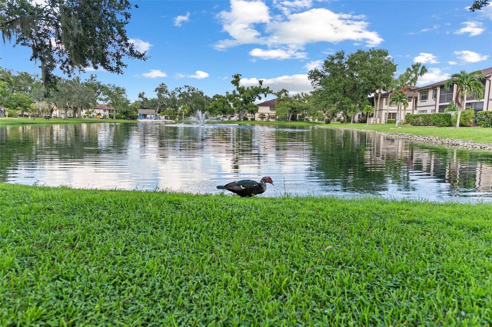 19505 QUESADA AVENUE, #H208, Port Charlotte, FL 33948 Lake