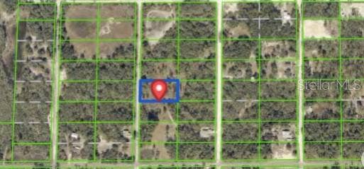 Property photo for 7490 CASTLEBERRY DRIVE, Webster, FL