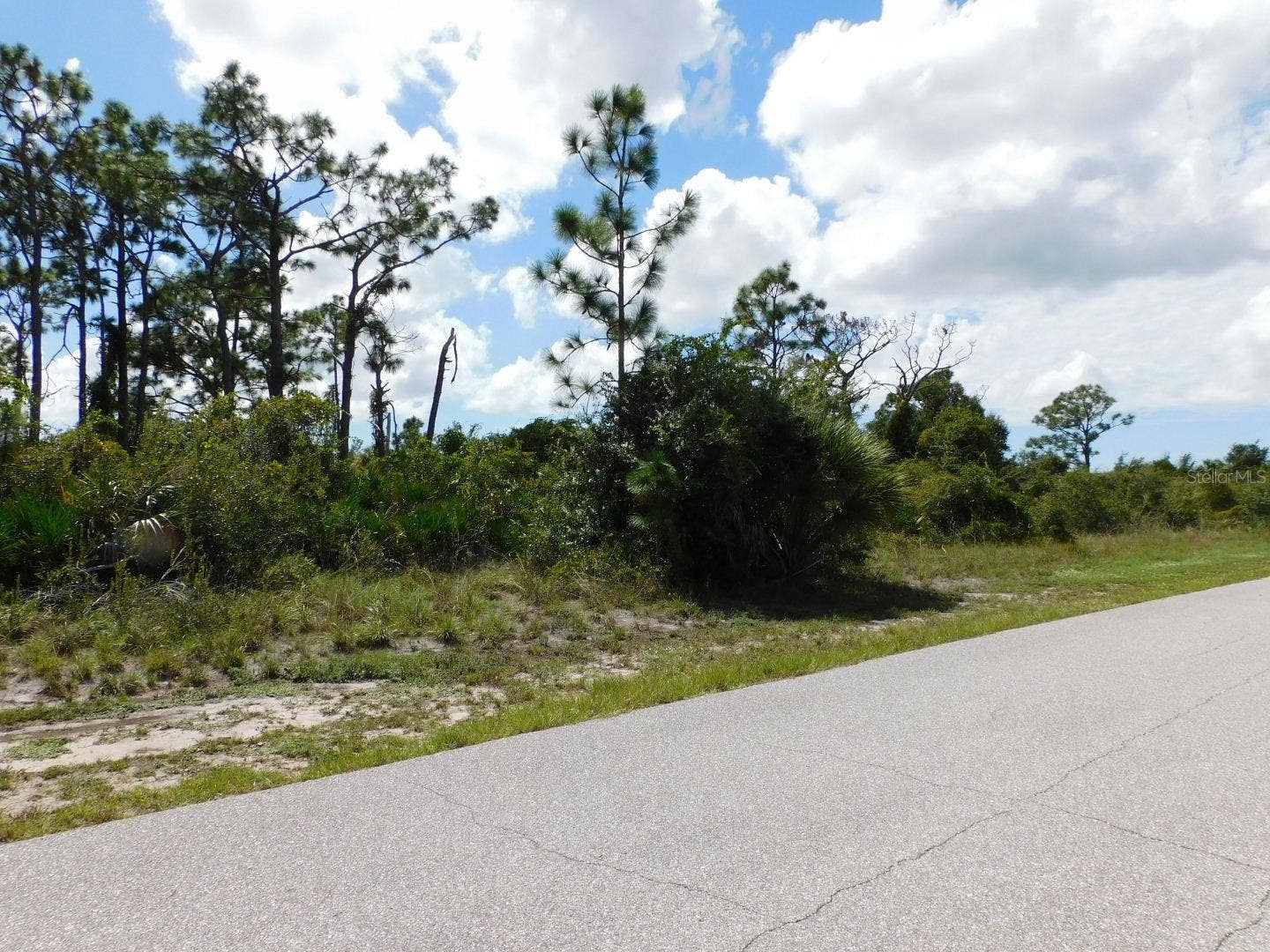 looking west down frontage 80'