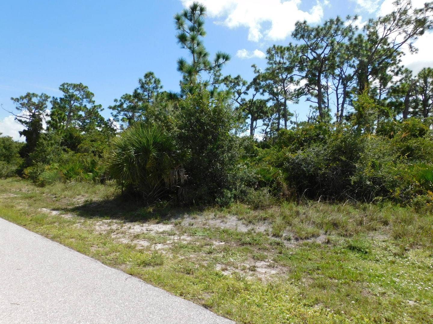 looking east down frontage 80'