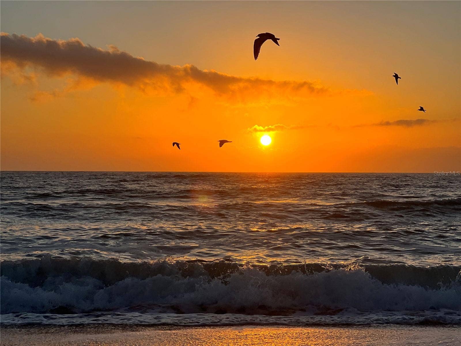 Englewood Beach sunset