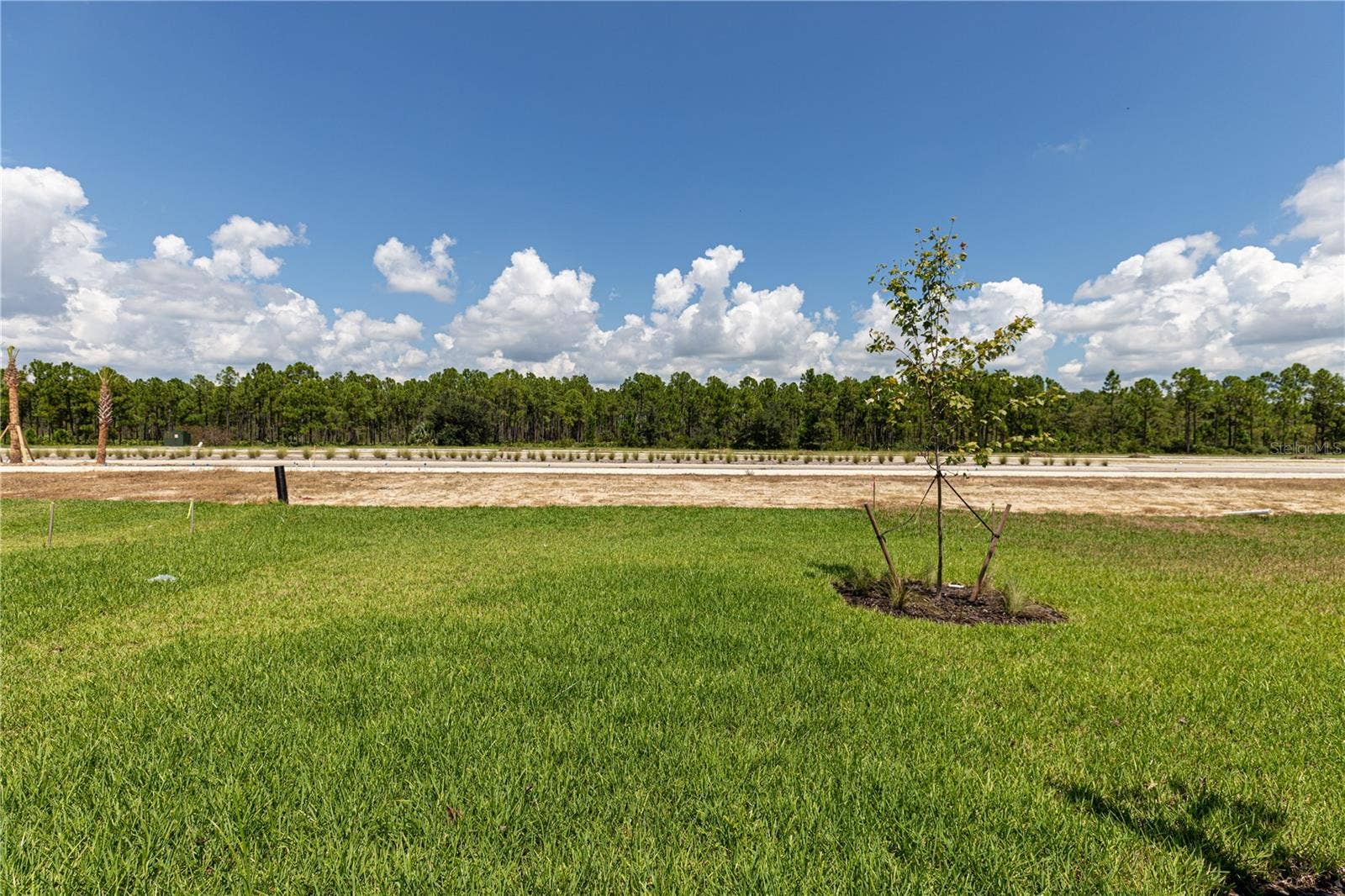 45126 PIPEVINE CIRCLE, Punta Gorda, FL 33982