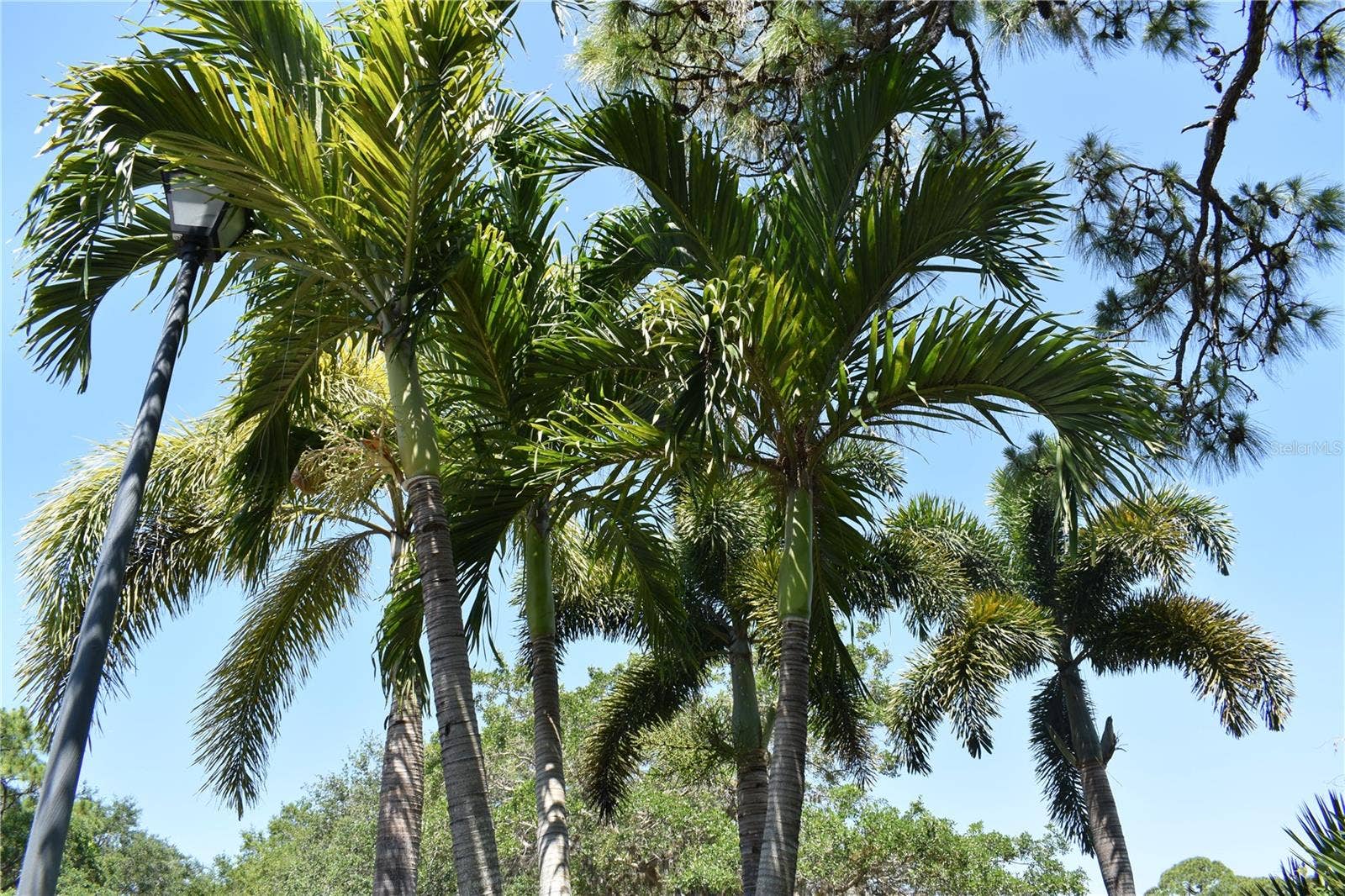 4364 SKYWAY AVENUE, North Port, FL 34288 4364 SKYWAY AVENUE, North Port, FL 34288