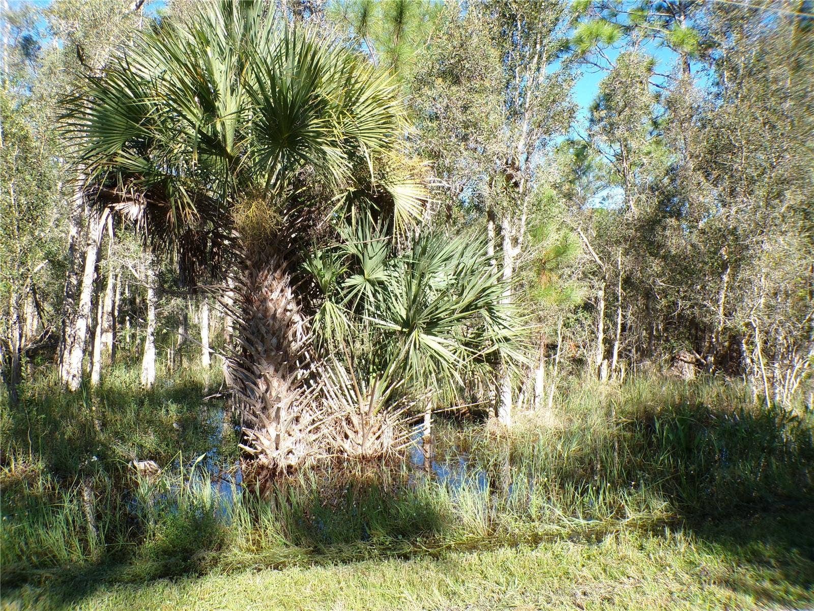 12213 RIPPLE DRIVE, Punta Gorda, FL 33955 12213 RIPPLE DRIVE, Punta Gorda, FL 33955
