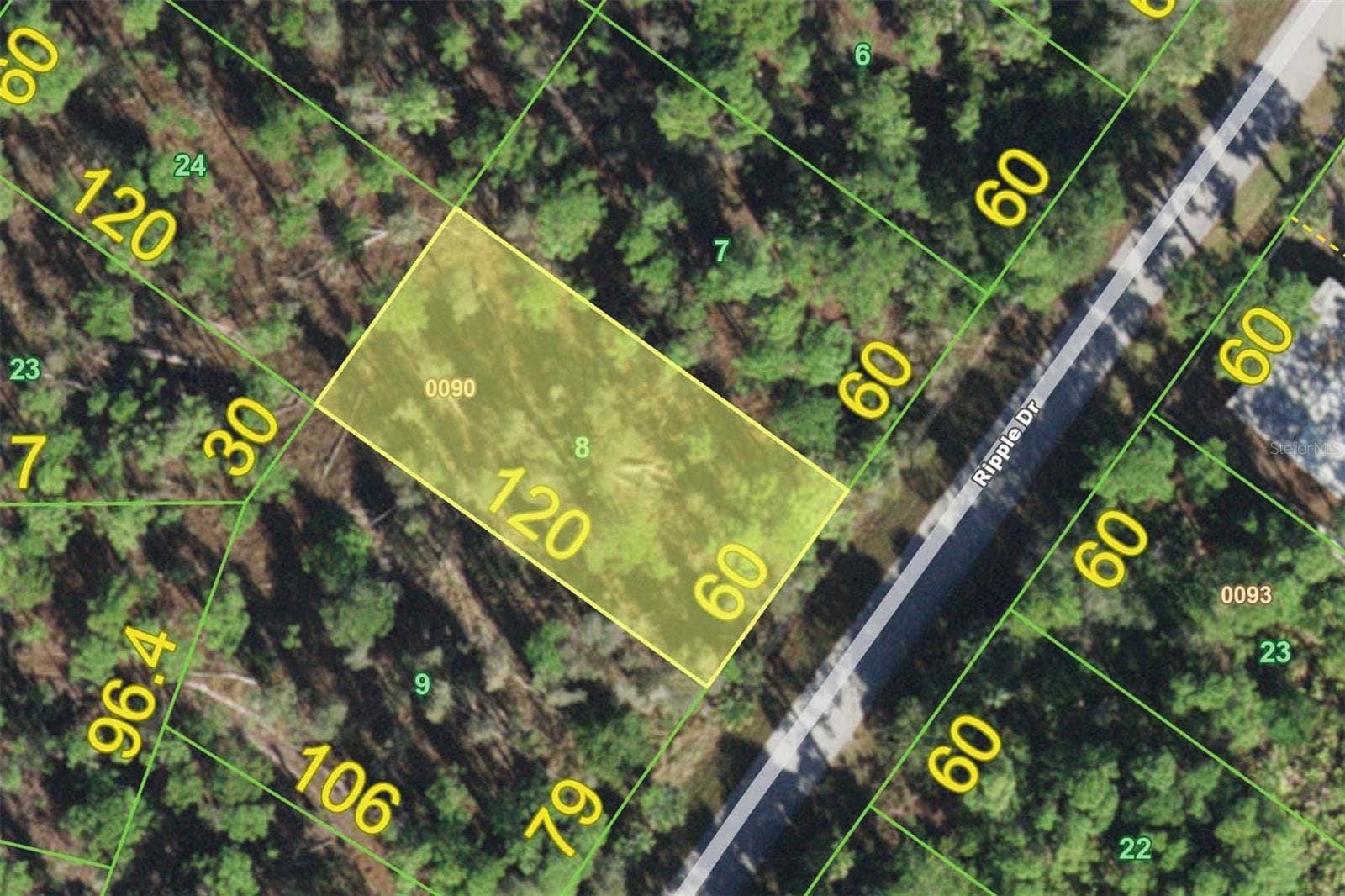 12219 RIPPLE DRIVE, Punta Gorda, FL 33955 12219 RIPPLE DRIVE, Punta Gorda, FL 33955