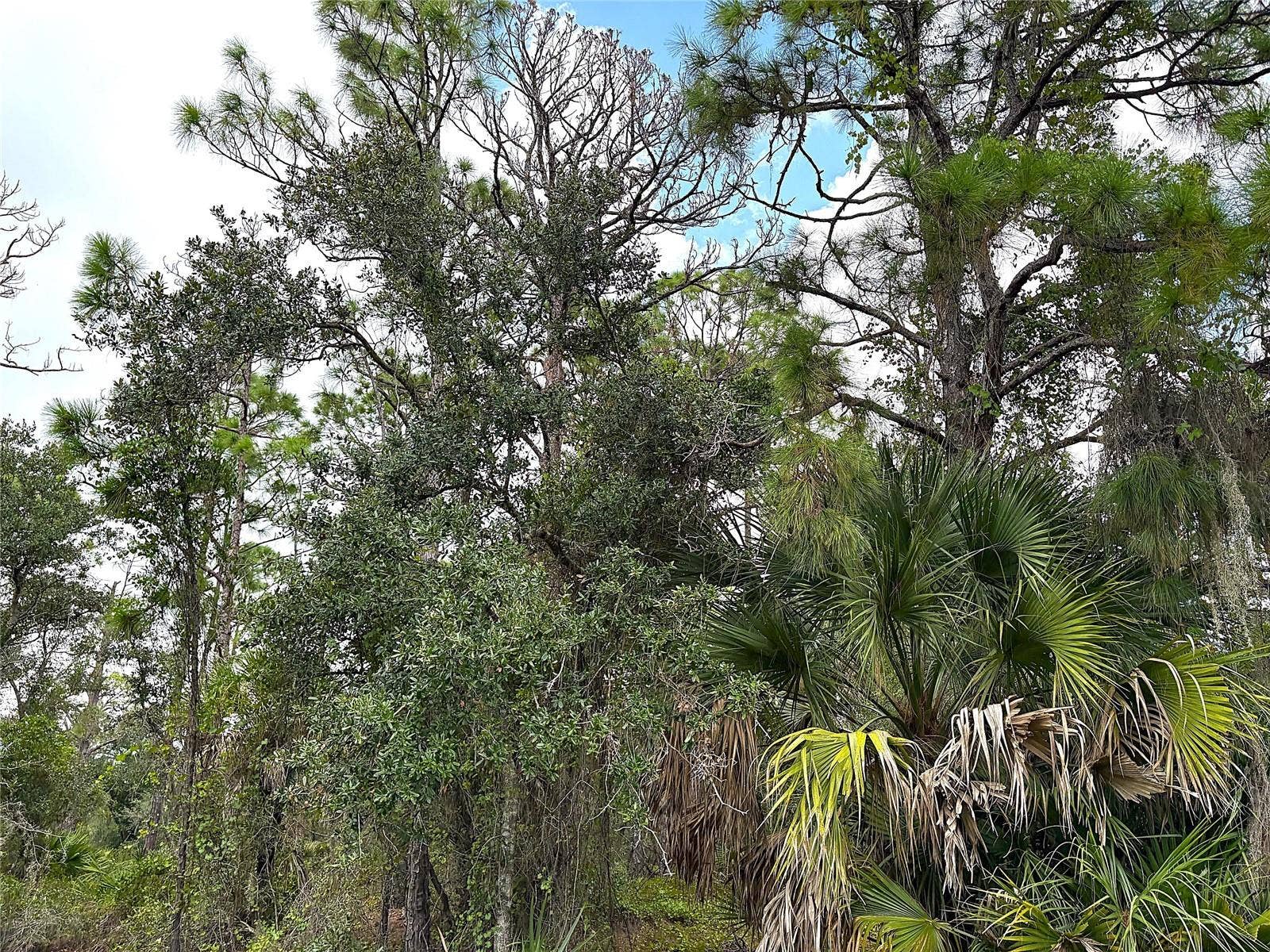 14060 DUNLAP AVENUE, Port Charlotte, FL 33953