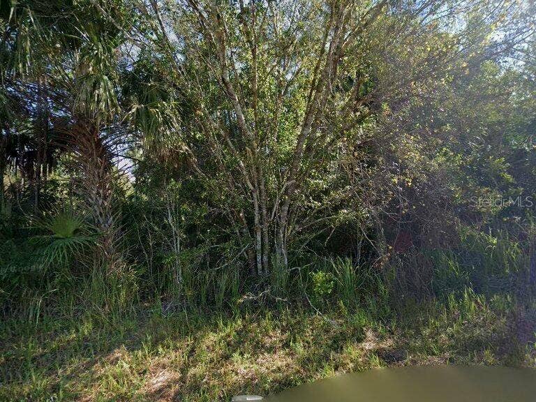 6006 TERRY AVENUE N, Lehigh Acres, FL 33971