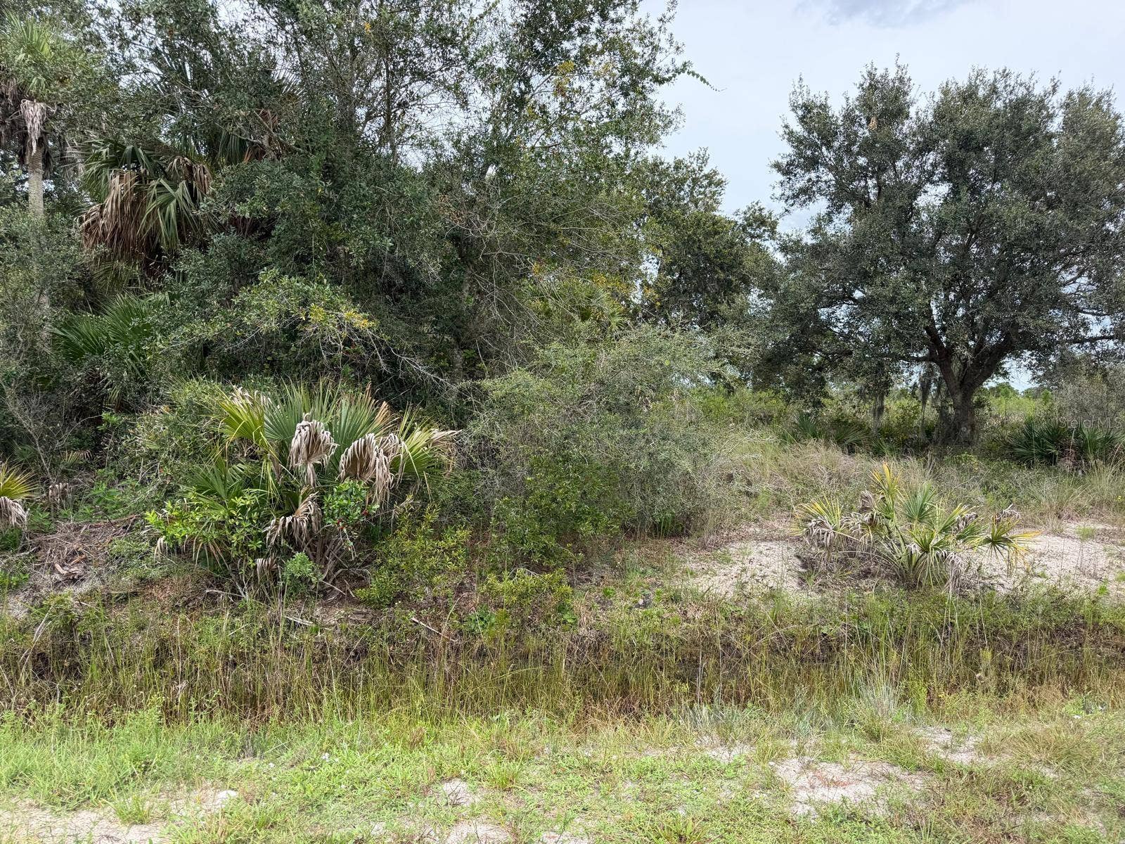 16434 NW 318TH STREET, Okeechobee, FL 34972