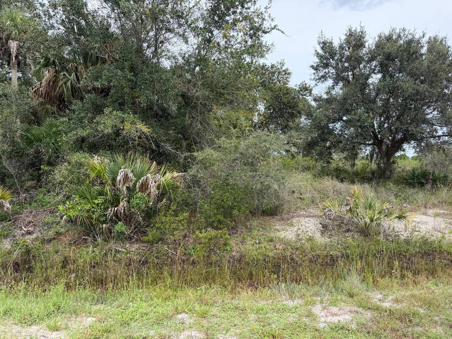 Property photo for 16434 NW 318TH STREET, Okeechobee, FL