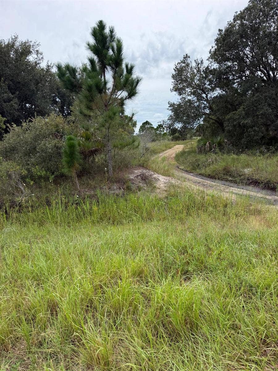 16434 NW 318TH STREET, Okeechobee, FL 34972