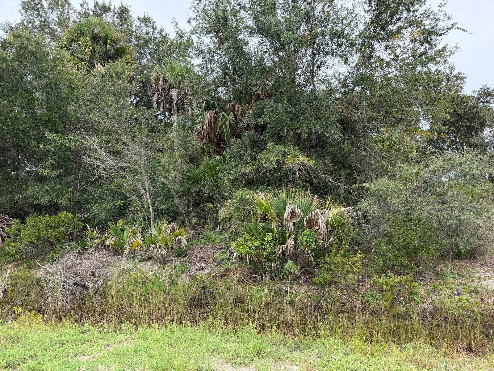 16434 NW 318TH STREET, Okeechobee, FL 34972
