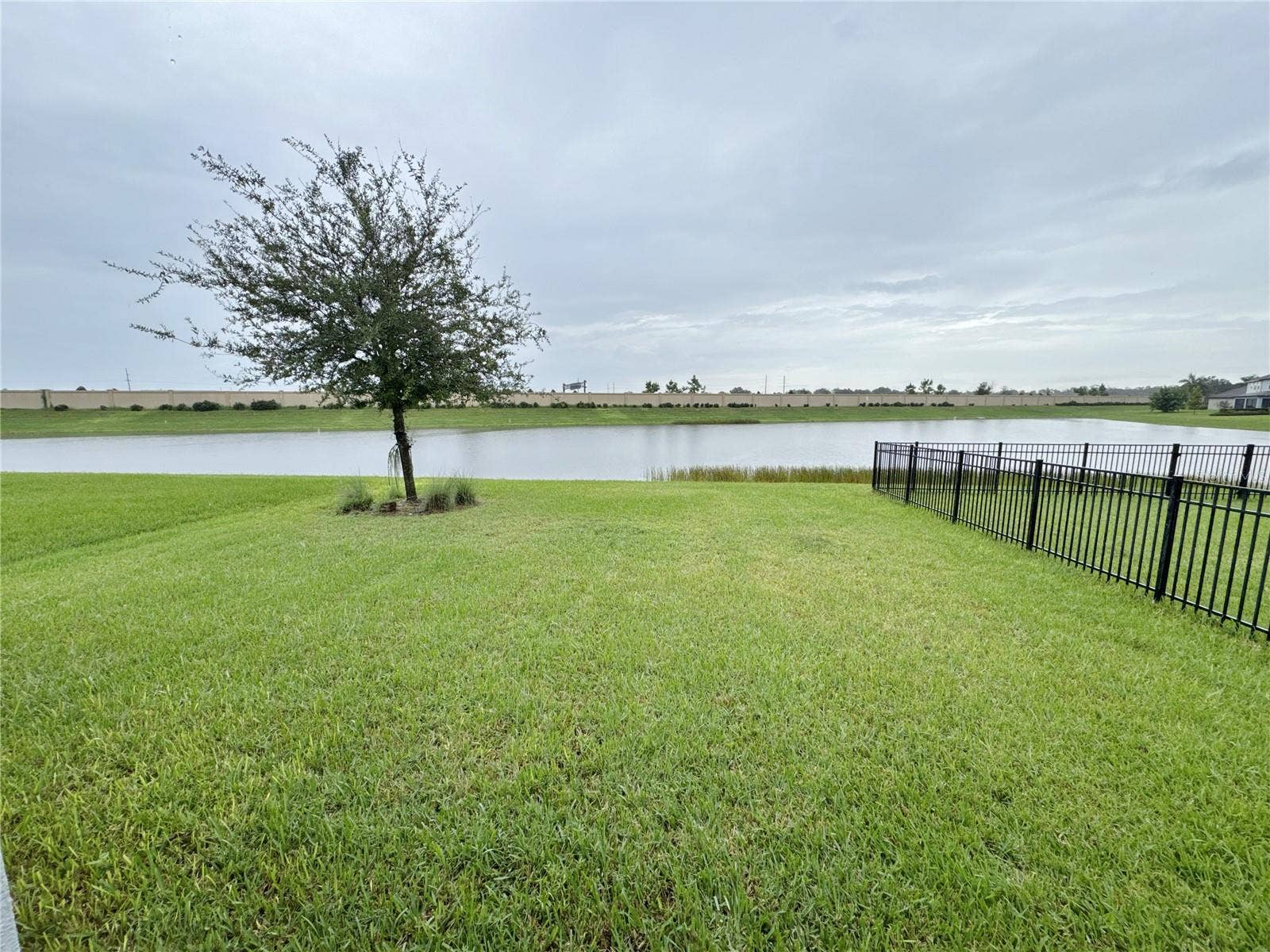 yard and pond view