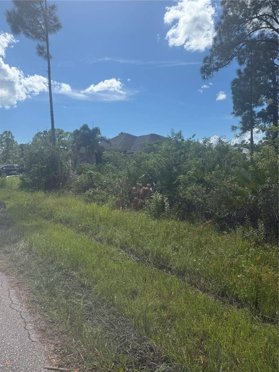 1213 BLALOCK STREET, Port Charlotte, FL 33980 Wooded lot