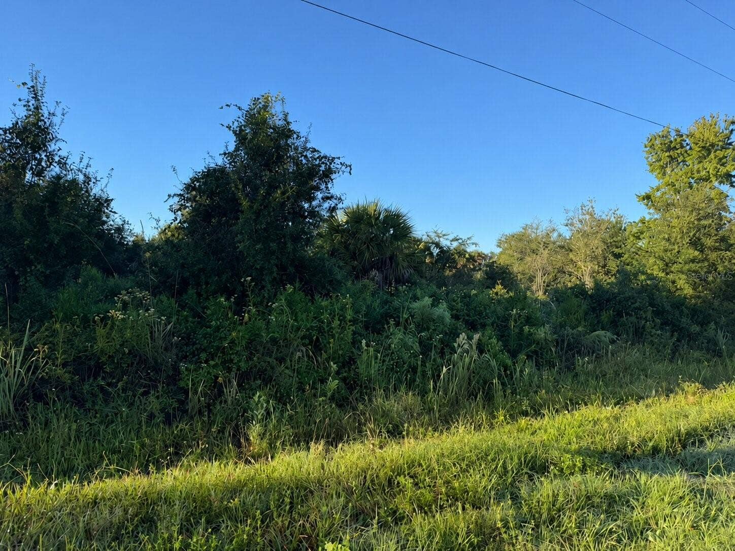 17660 NW 292ND STREET, Okeechobee, FL 34972