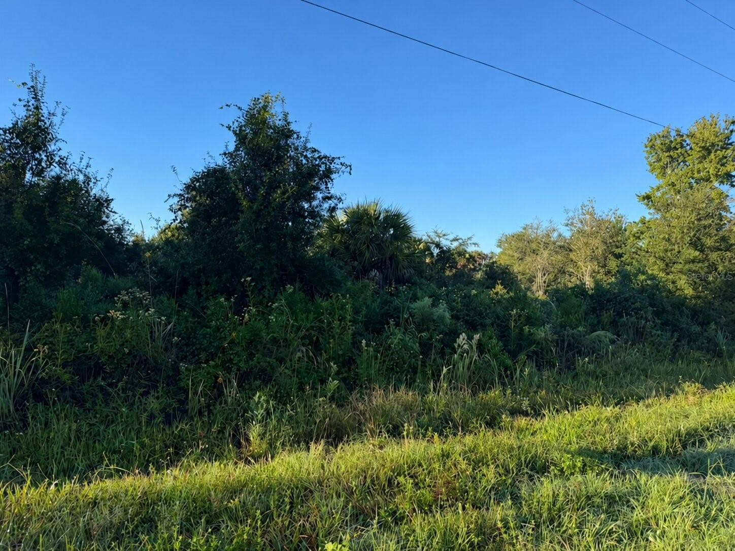 17660 NW 292ND STREET, Okeechobee, FL 34972