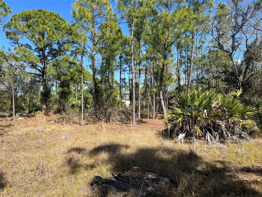 Property photo for 28019 TREADMILL DRIVE, Punta Gorda, FL