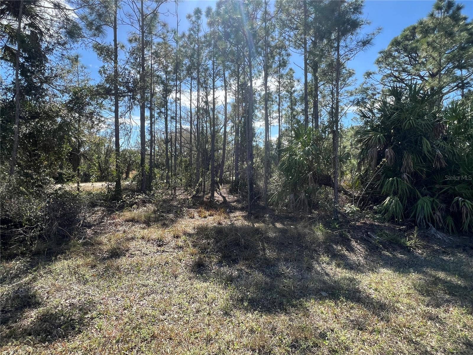 28019 TREADMILL DRIVE, Punta Gorda, FL 33955 28019 TREADMILL DRIVE, Punta Gorda, FL 33955