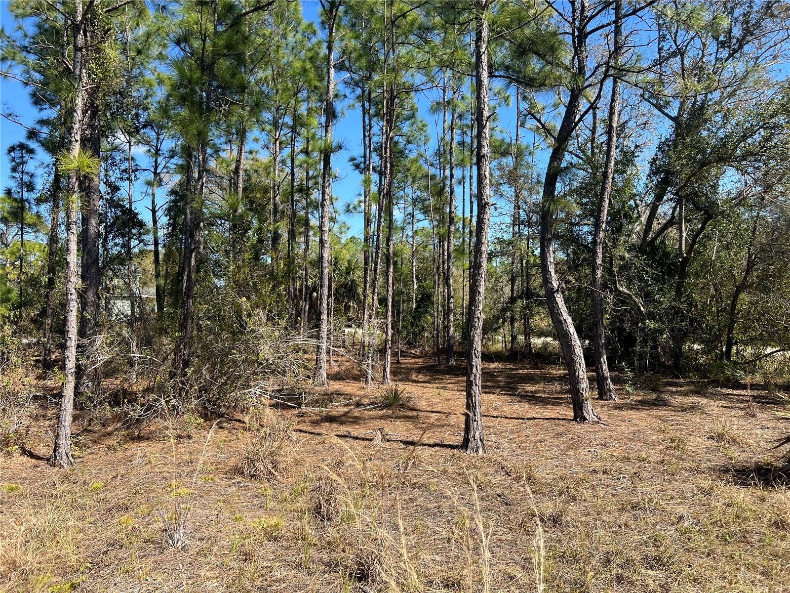 28019 TREADMILL DRIVE, Punta Gorda, FL 33955 28019 TREADMILL DRIVE, Punta Gorda, FL 33955