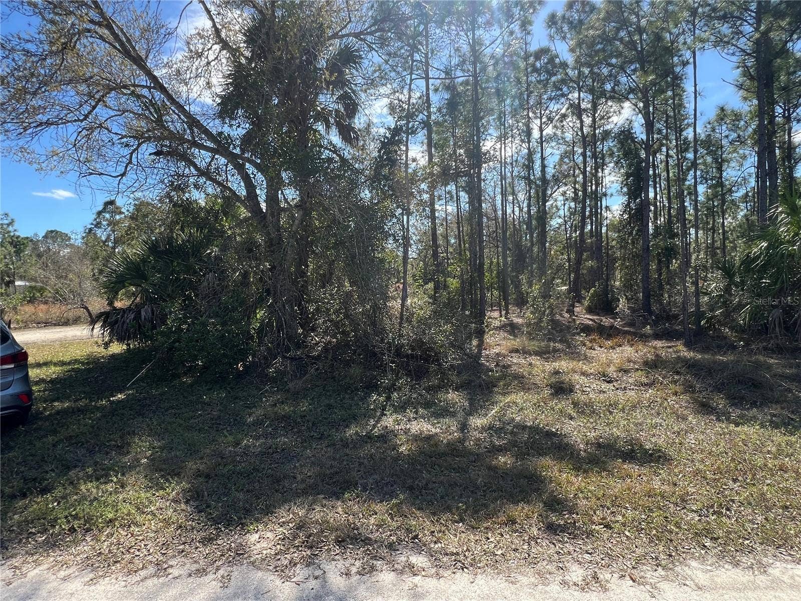 28019 TREADMILL DRIVE, Punta Gorda, FL 33955 28019 TREADMILL DRIVE, Punta Gorda, FL 33955