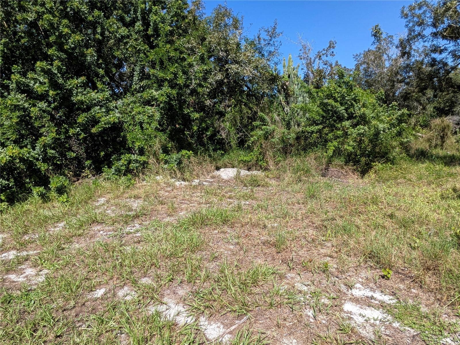 LEMON ROAD NW, Lake Placid, FL 33852 LEMON ROAD NW, Lake Placid, FL 33852