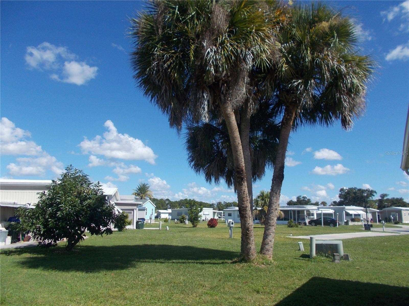 Yard