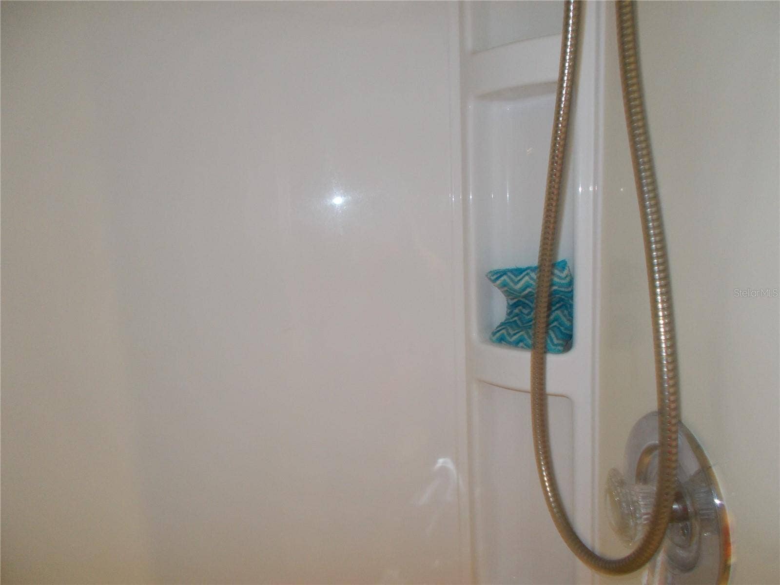 Primary Bathroom Shower