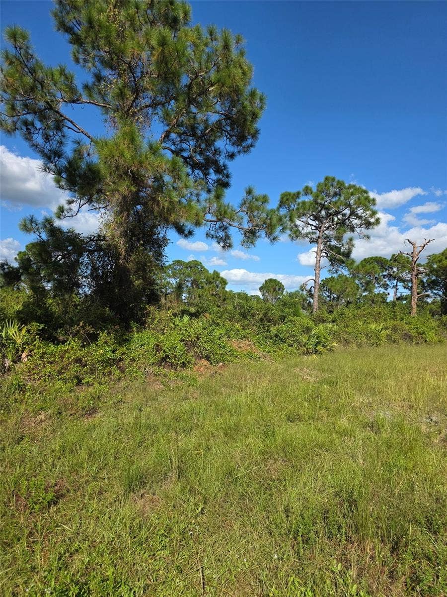 1115 JAGUAR BOULEVARD, Lehigh Acres, FL 33974 1115 JAGUAR BOULEVARD, Lehigh Acres, FL 33974