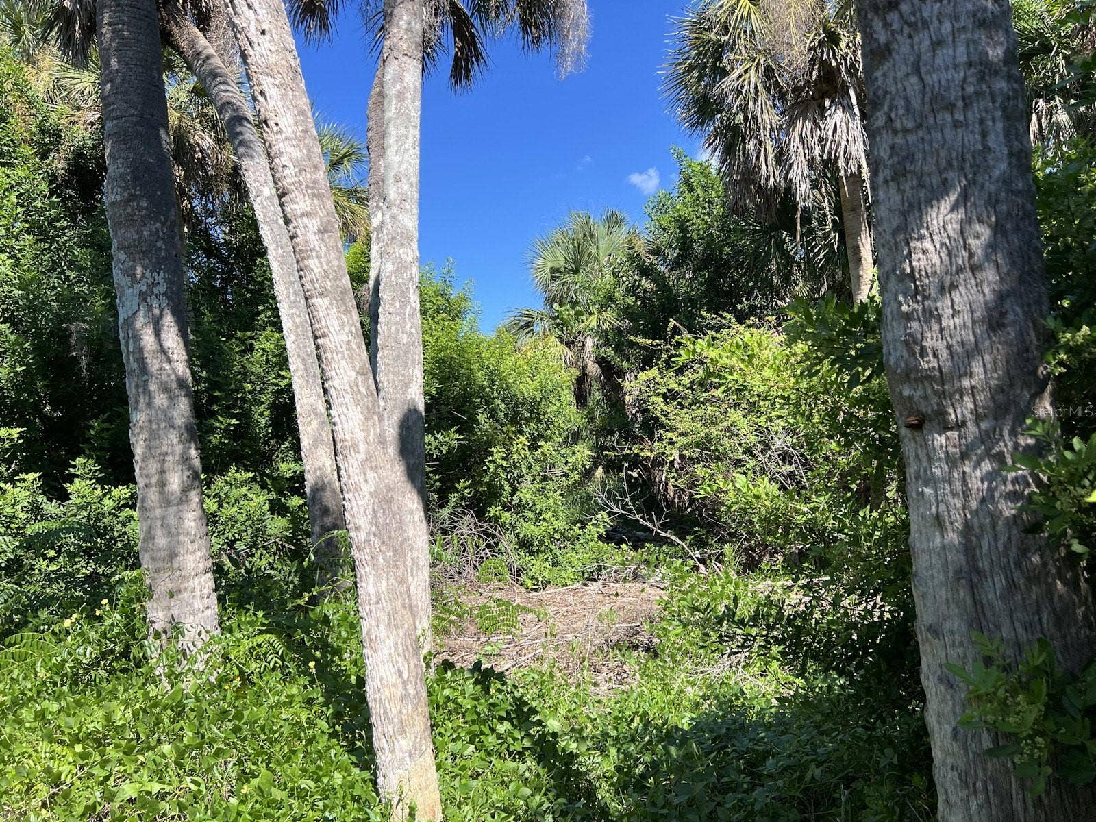 10048 HEL-LEW COURT, Placida, FL 33946 10048 HEL-LEW COURT, Placida, FL 33946