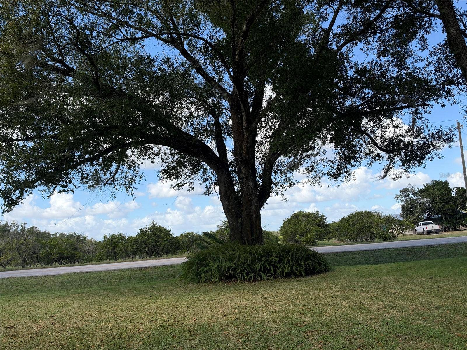 3529 SE COUNTY ROAD 760, Arcadia, FL 34266