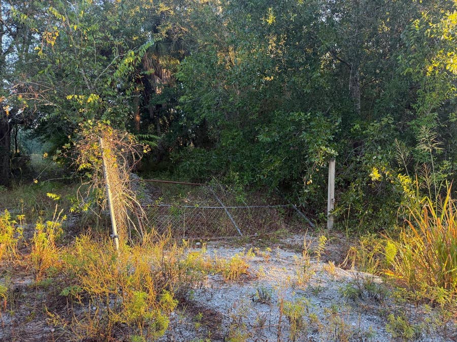 Property photo for 19835 NW 298TH STREET, Okeechobee, FL
