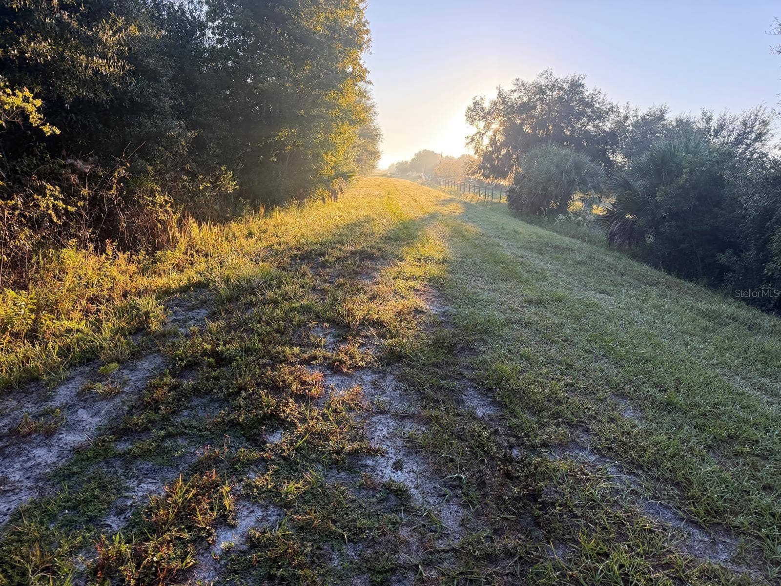 19835 NW 298TH STREET, Okeechobee, FL 34972 19835 NW 298TH STREET, Okeechobee, FL 34972