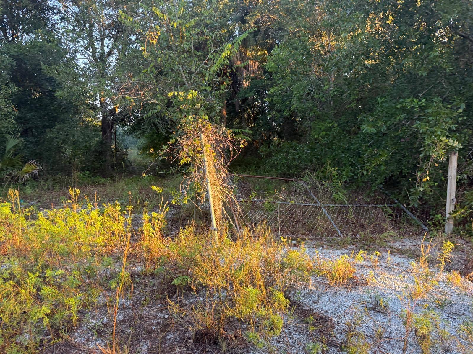 19835 NW 298TH STREET, Okeechobee, FL 34972 19835 NW 298TH STREET, Okeechobee, FL 34972