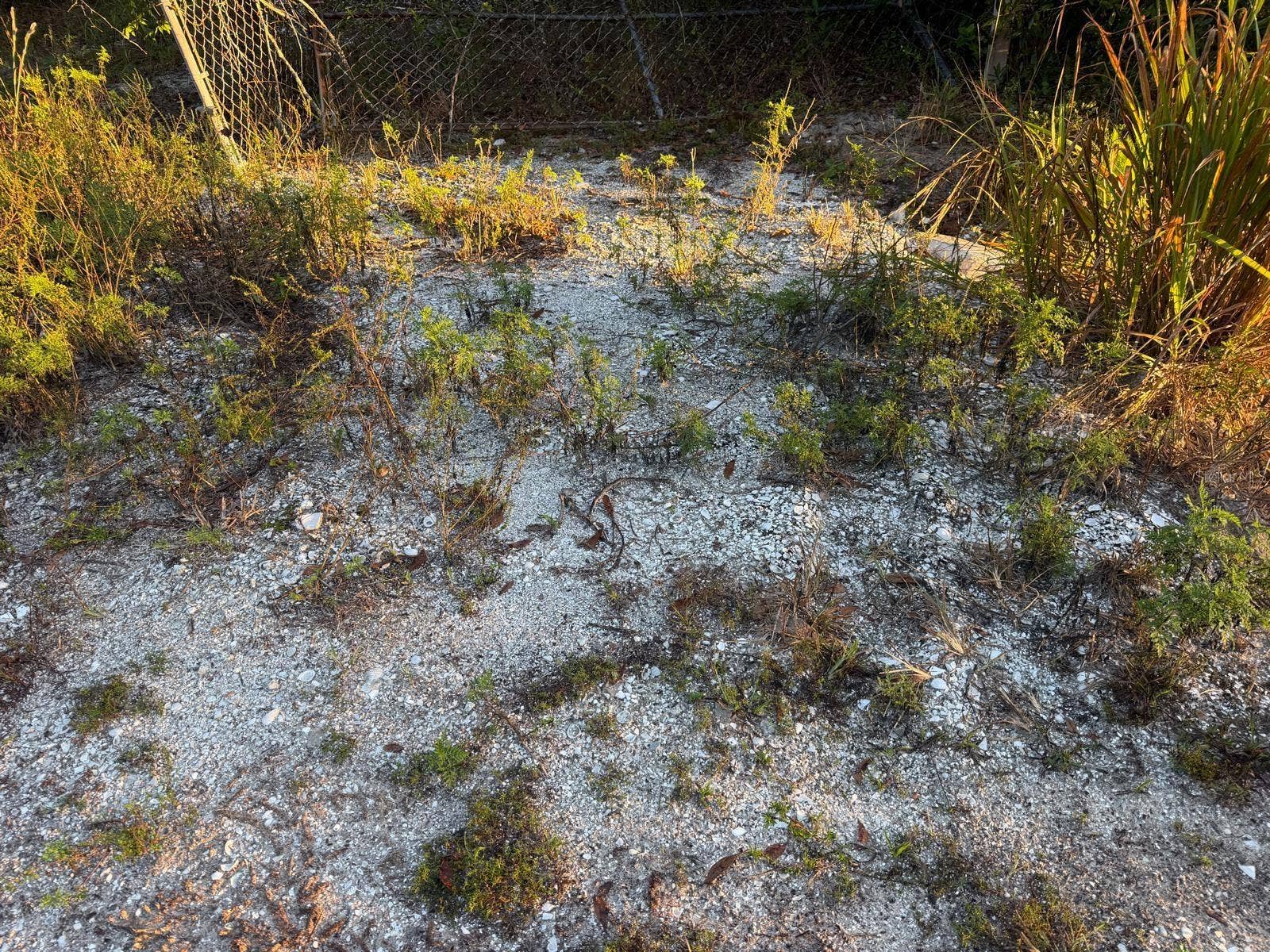 19835 NW 298TH STREET, Okeechobee, FL 34972 19835 NW 298TH STREET, Okeechobee, FL 34972