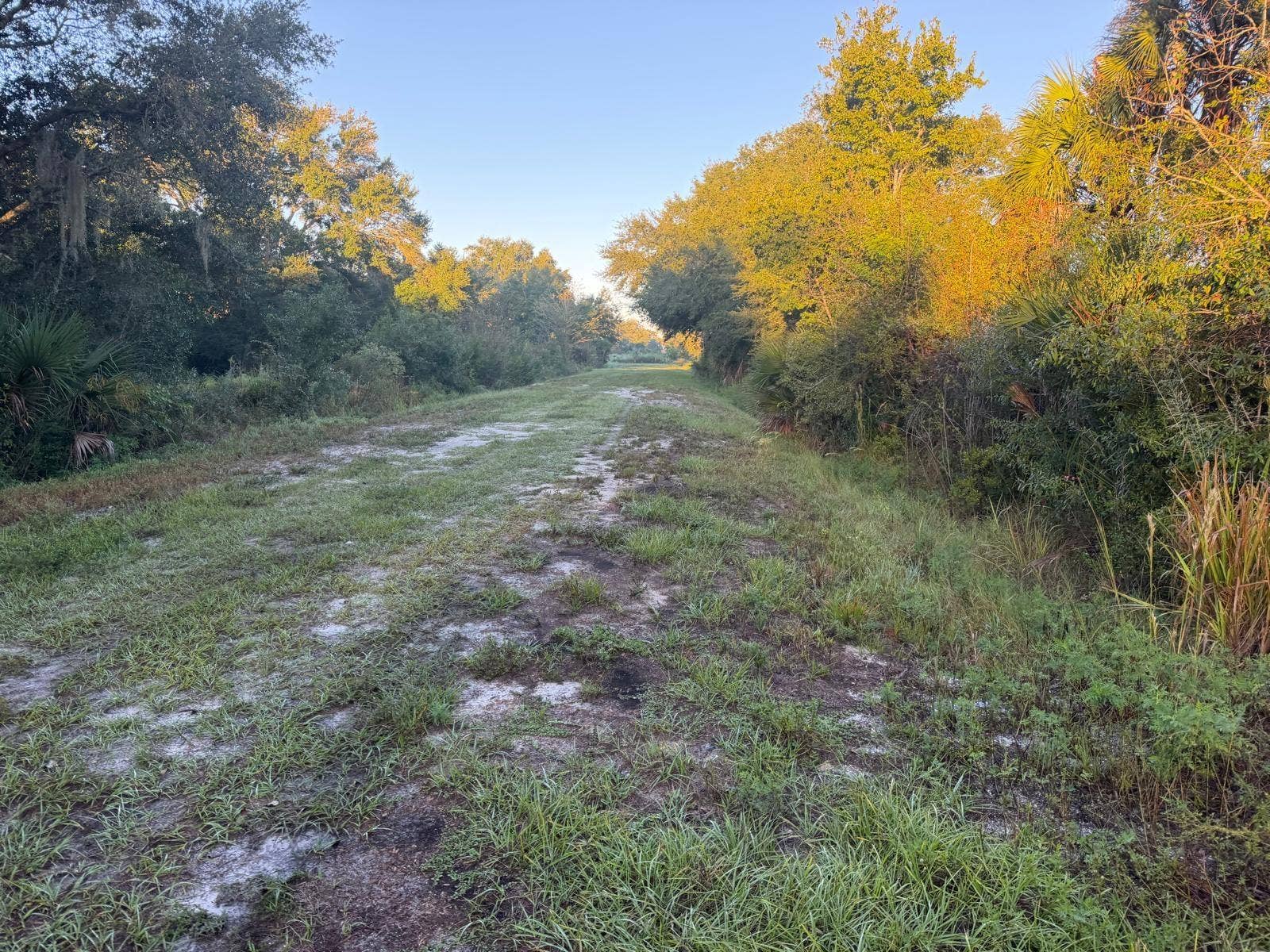 19835 NW 298TH STREET, Okeechobee, FL 34972 19835 NW 298TH STREET, Okeechobee, FL 34972