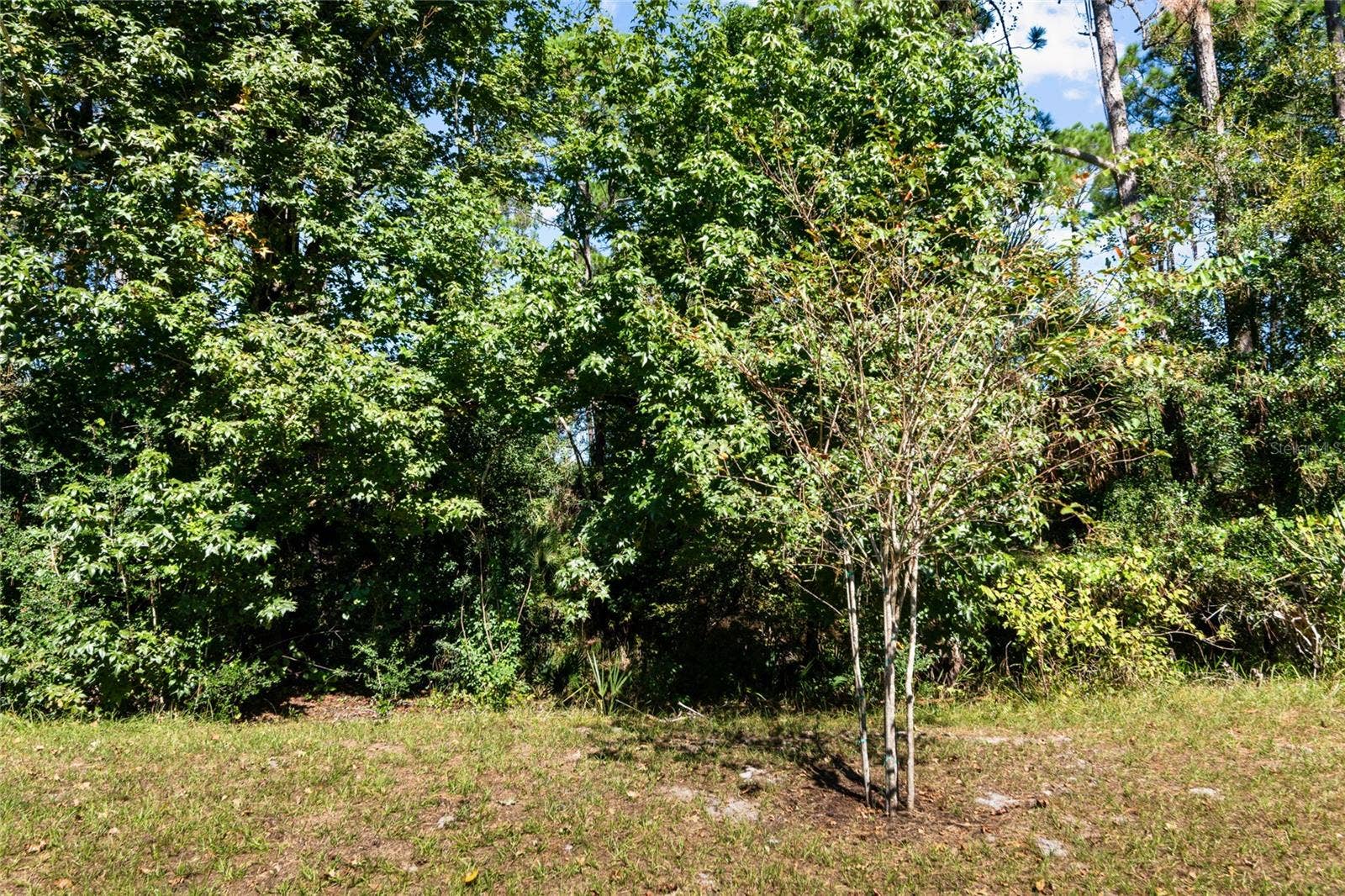 166 SECRETARY TRAIL, Palm Coast, FL 32164
