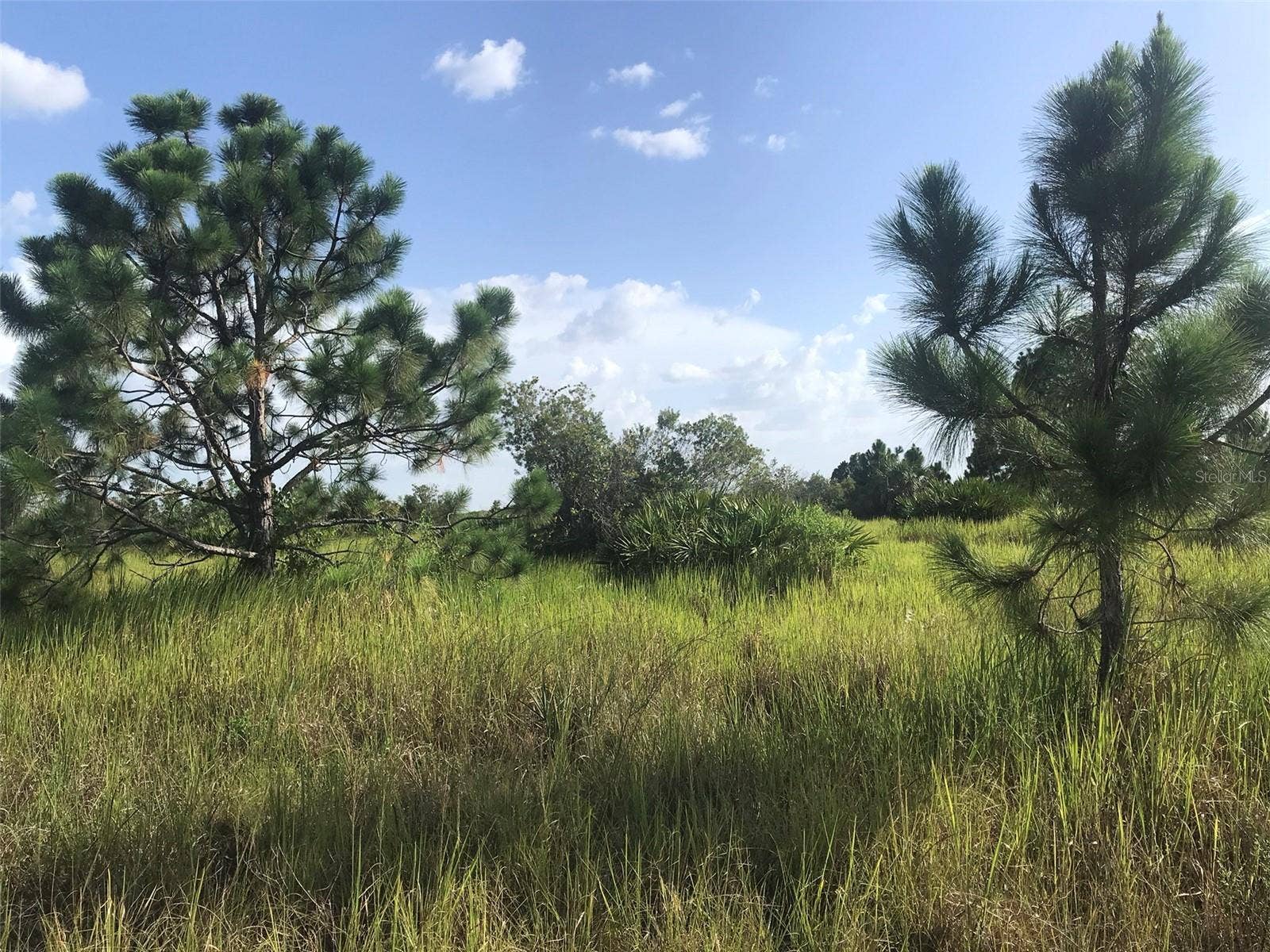 48091 BERMONT ROAD, Punta Gorda, FL 33982 North end of the 70 acres.