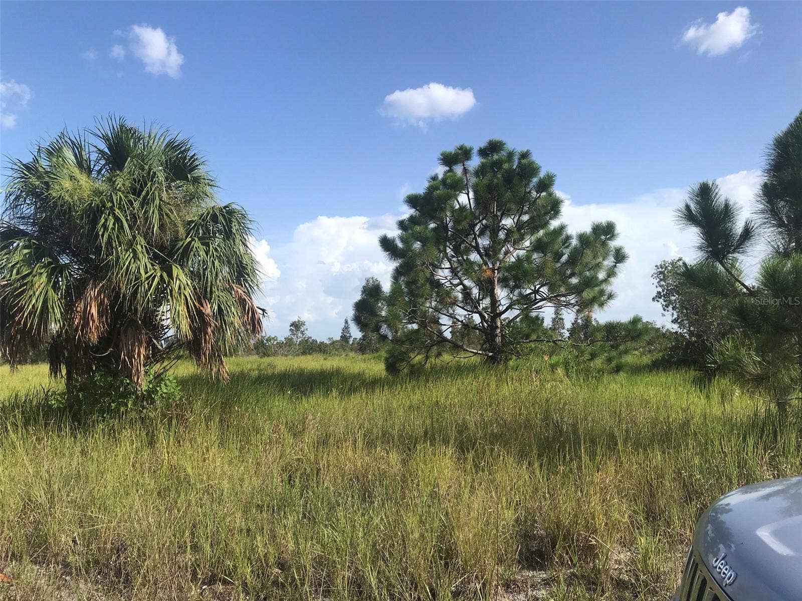 48091 BERMONT ROAD, Punta Gorda, FL 33982 North end of the 70 acres.