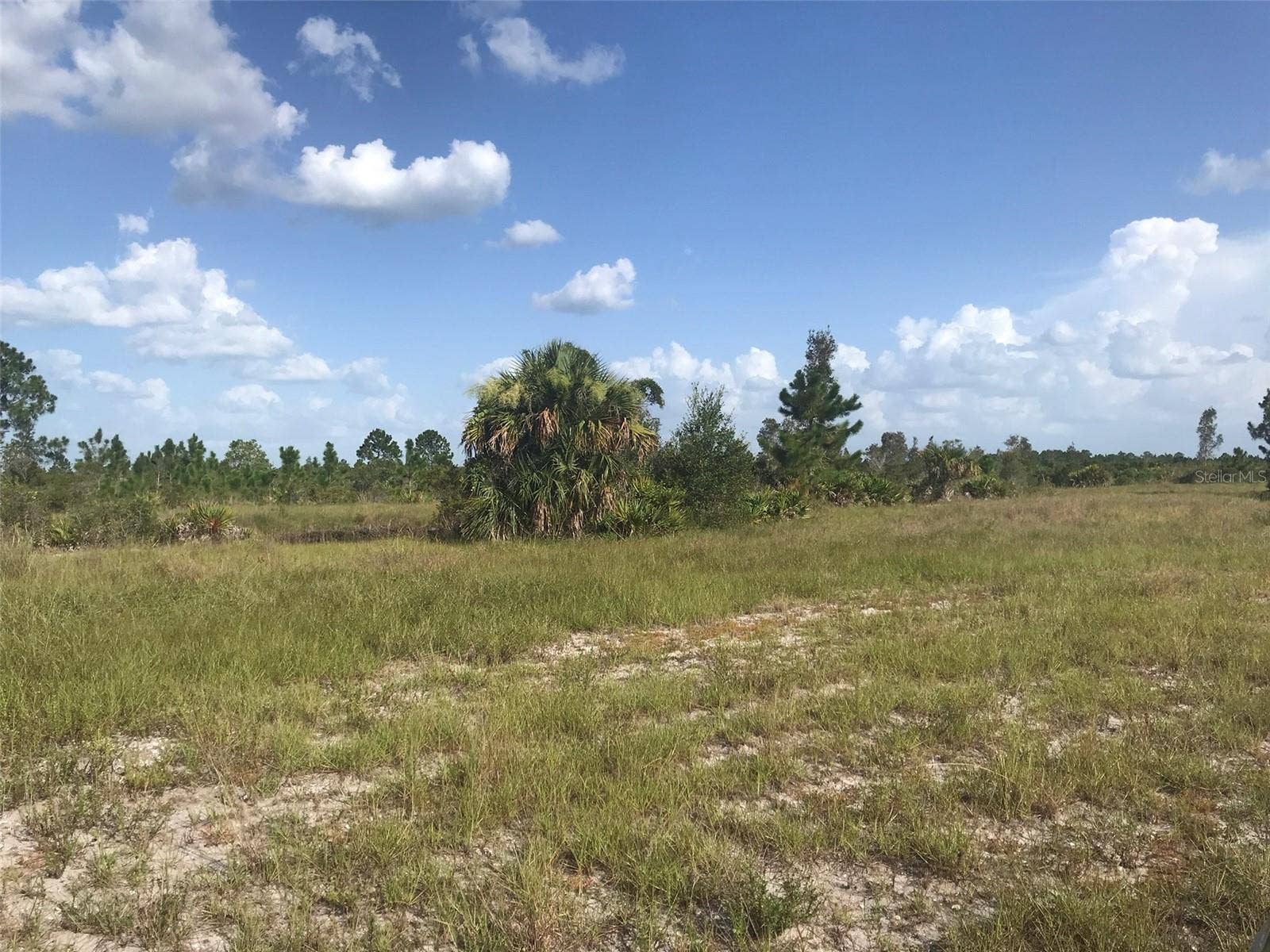 48091 BERMONT ROAD, Punta Gorda, FL 33982 North end of the 70 acres.