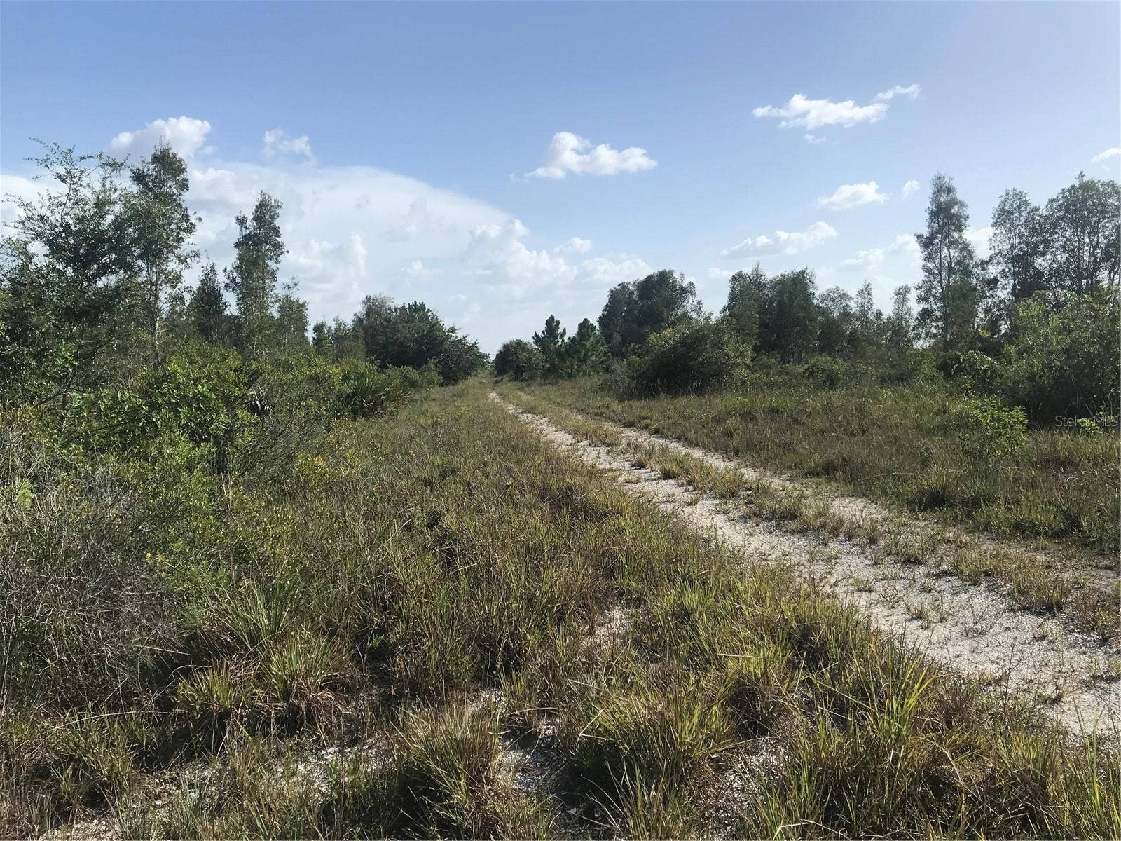 48091 BERMONT ROAD, Punta Gorda, FL 33982 Drive ahead to rear of the 70 acres and the Lake.