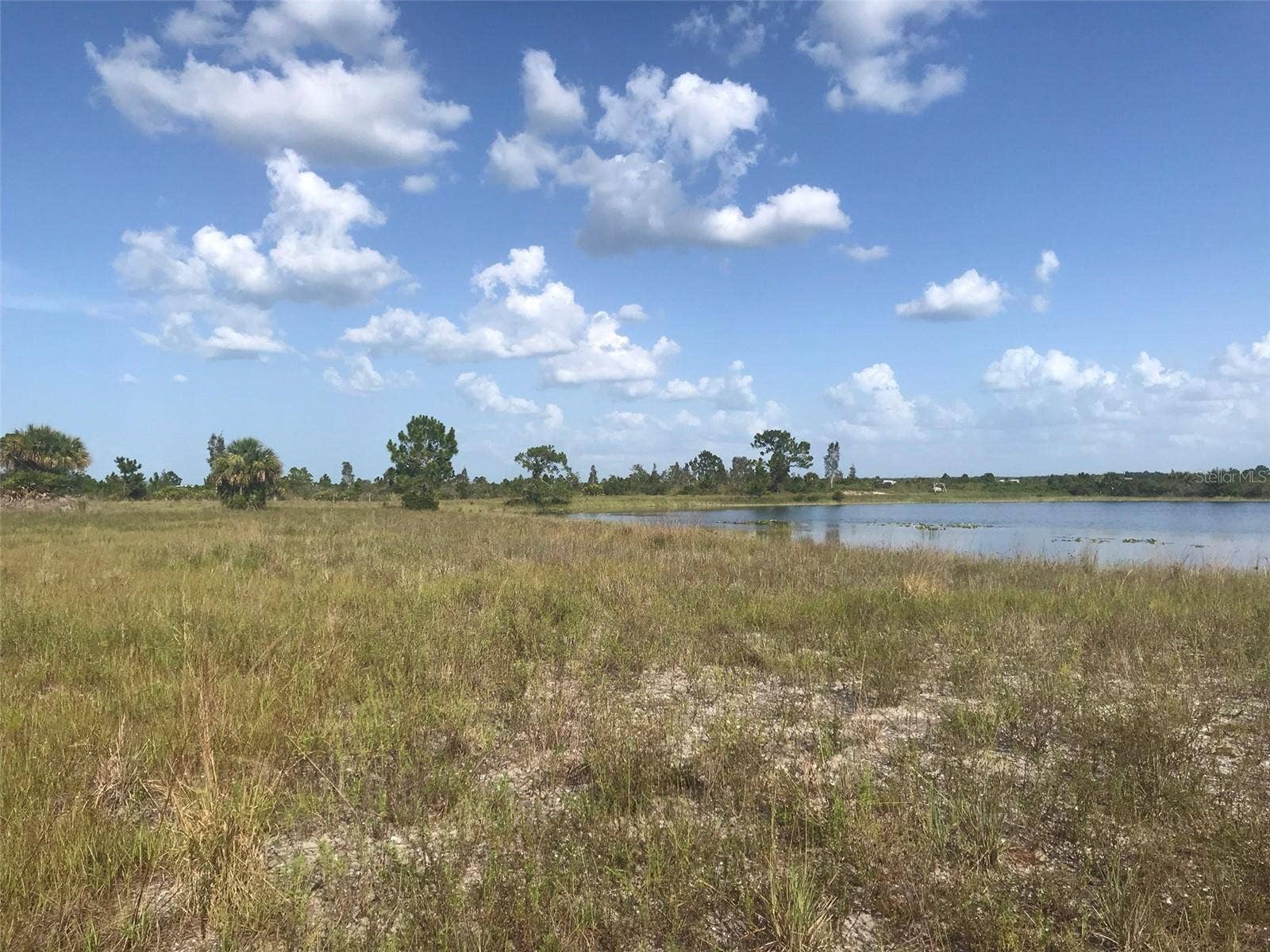 48091 BERMONT ROAD, Punta Gorda, FL 33982 East end of 70 acre lake
