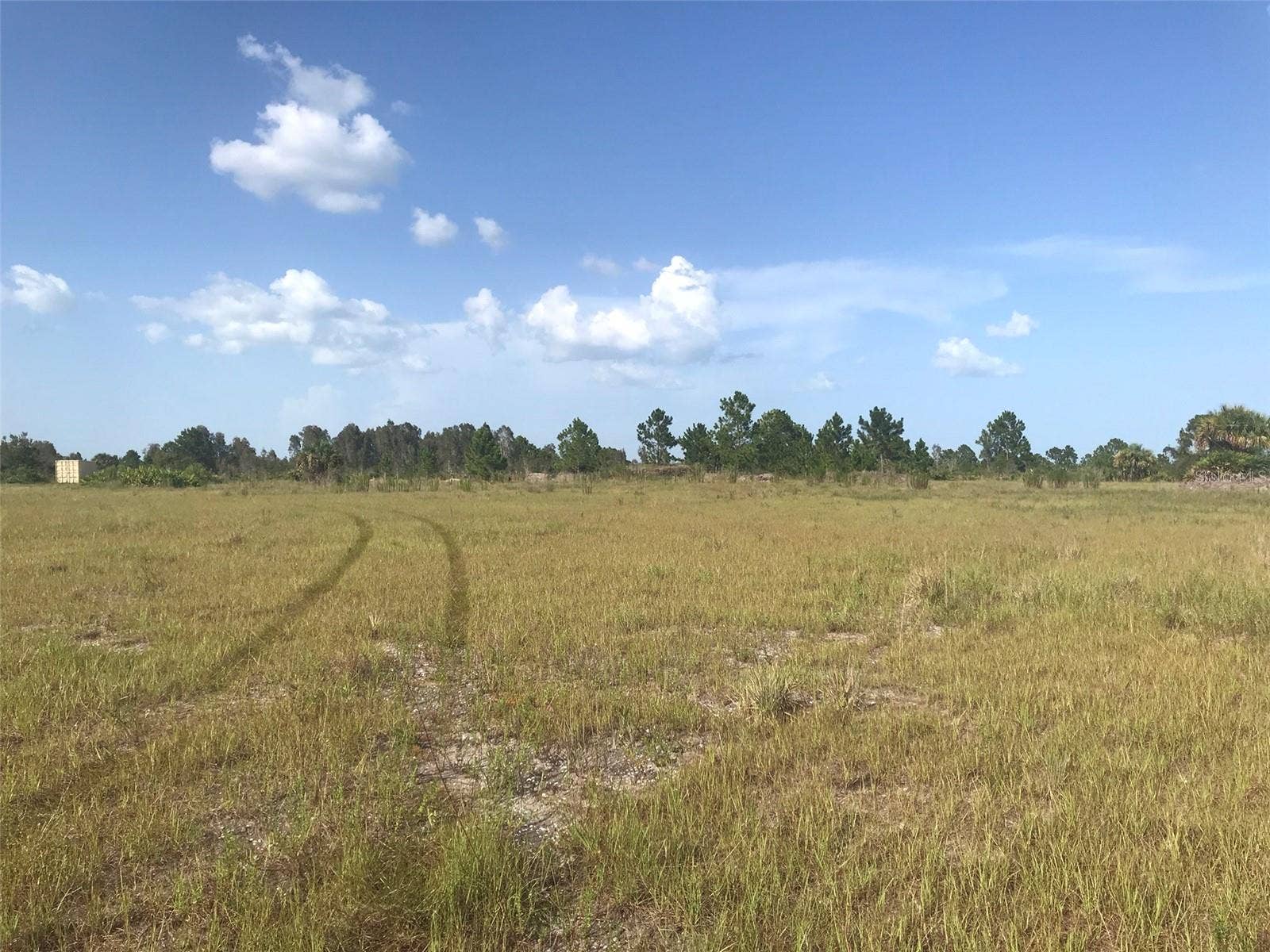 48091 BERMONT ROAD, Punta Gorda, FL 33982 Pasture north of the lake.