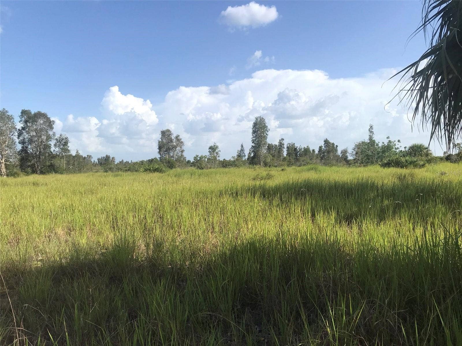 48091 BERMONT ROAD, Punta Gorda, FL 33982 North end of the 70 acres.