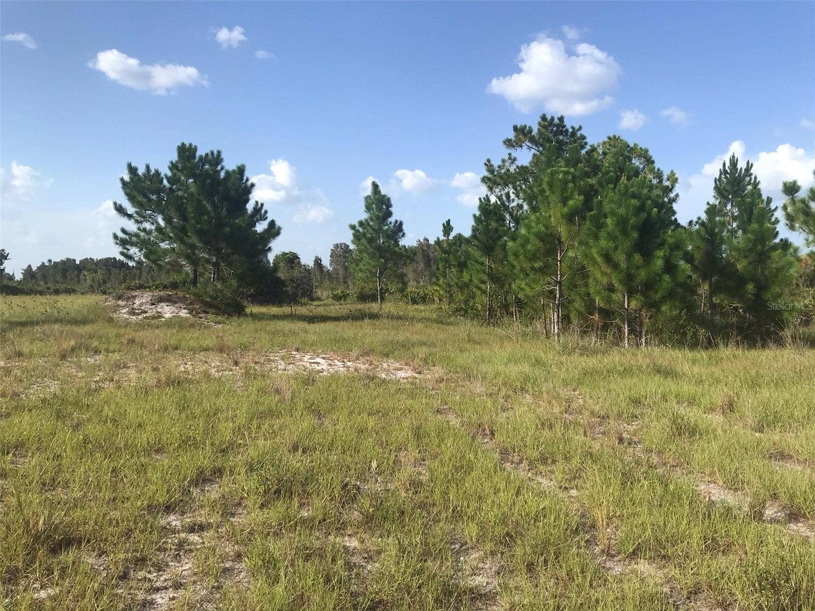 48091 BERMONT ROAD, Punta Gorda, FL 33982 North end of the 70 acres.