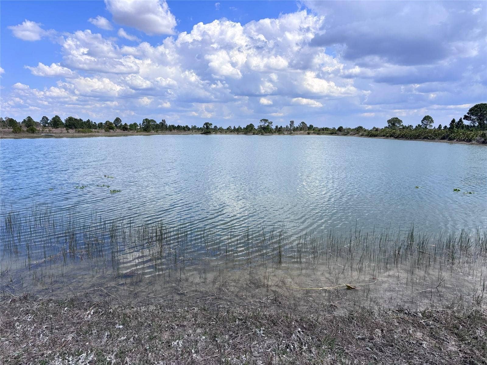 48091 BERMONT ROAD, Punta Gorda, FL 33982 48091 BERMONT ROAD, Punta Gorda, FL 33982