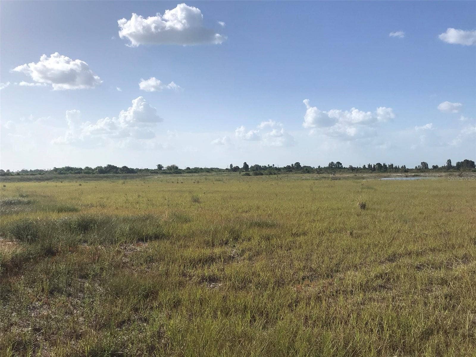48091 BERMONT ROAD, Punta Gorda, FL 33982 Pasture north of the lake.