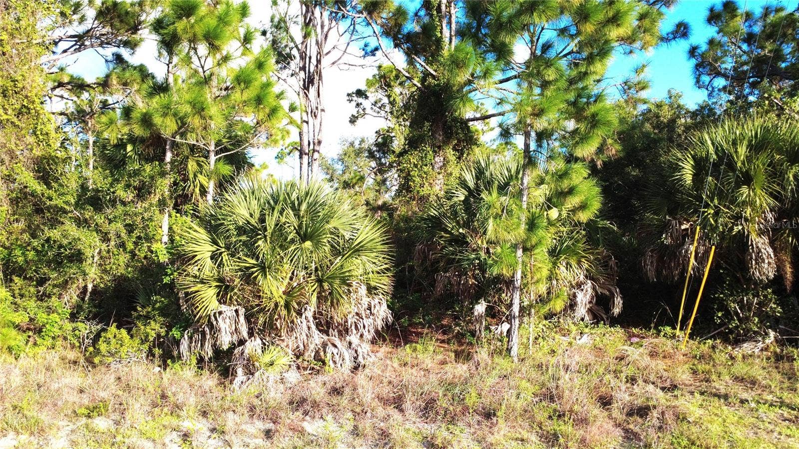 12443 GULFSTREAM BOULEVARD, Port Charlotte, FL 33981 12443 GULFSTREAM BOULEVARD, Port Charlotte, FL 33981