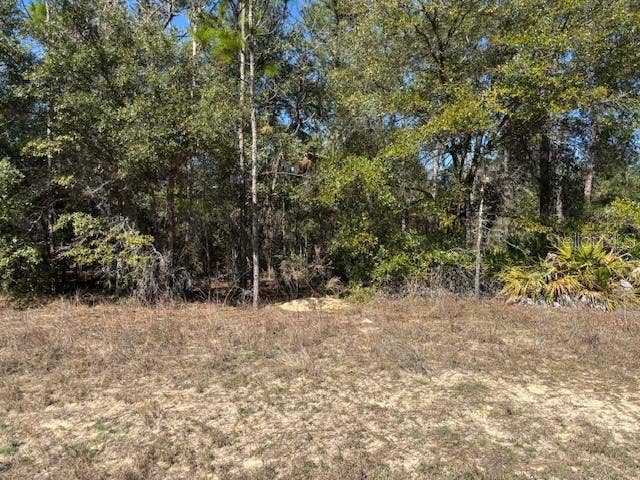 Property photo for 497 W Hummingbird DRIVE, Citrus Springs, FL
