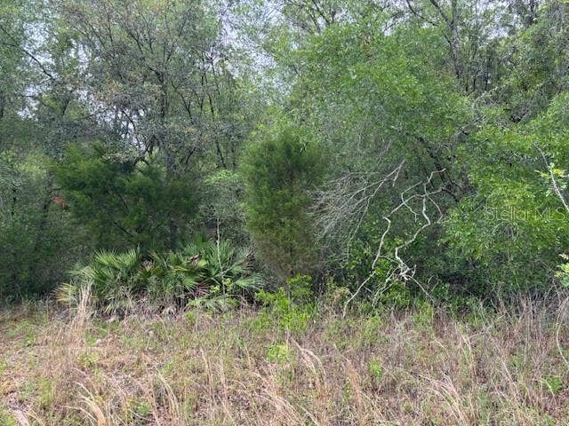 Property photo for 93 N Croft AVENUE, Inverness, FL