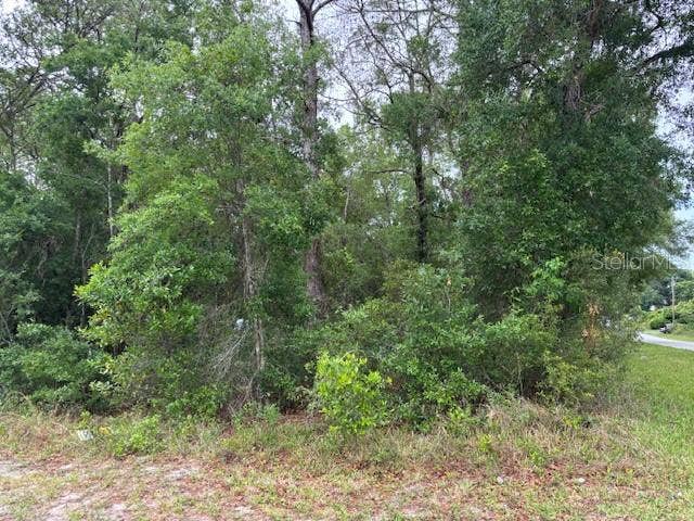 Property photo for 359 N Fitzpatrick AVENUE, Inverness, FL