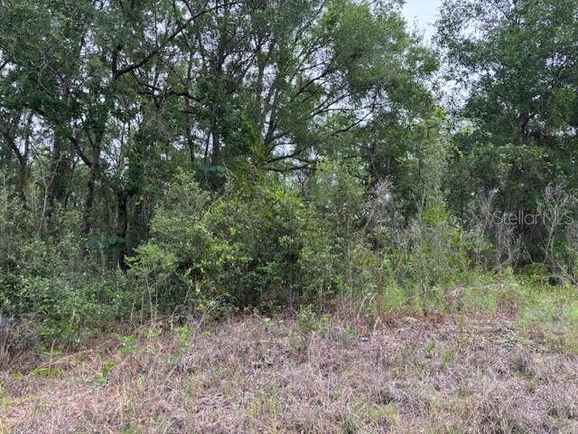 Property photo for 6717 E Gentry STREET, Inverness, FL